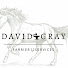 dHP5DSnFoL0-channel-avatar-David Gray