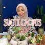 Sucti Cactus