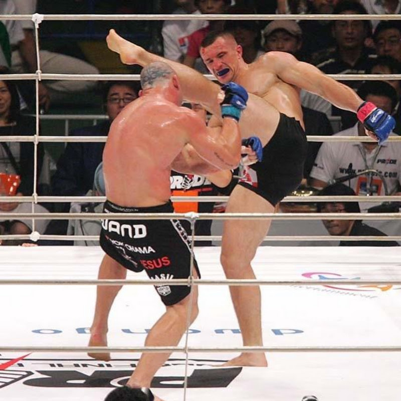 lefthighkick
