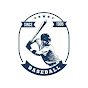 Baseball IQ Avatar