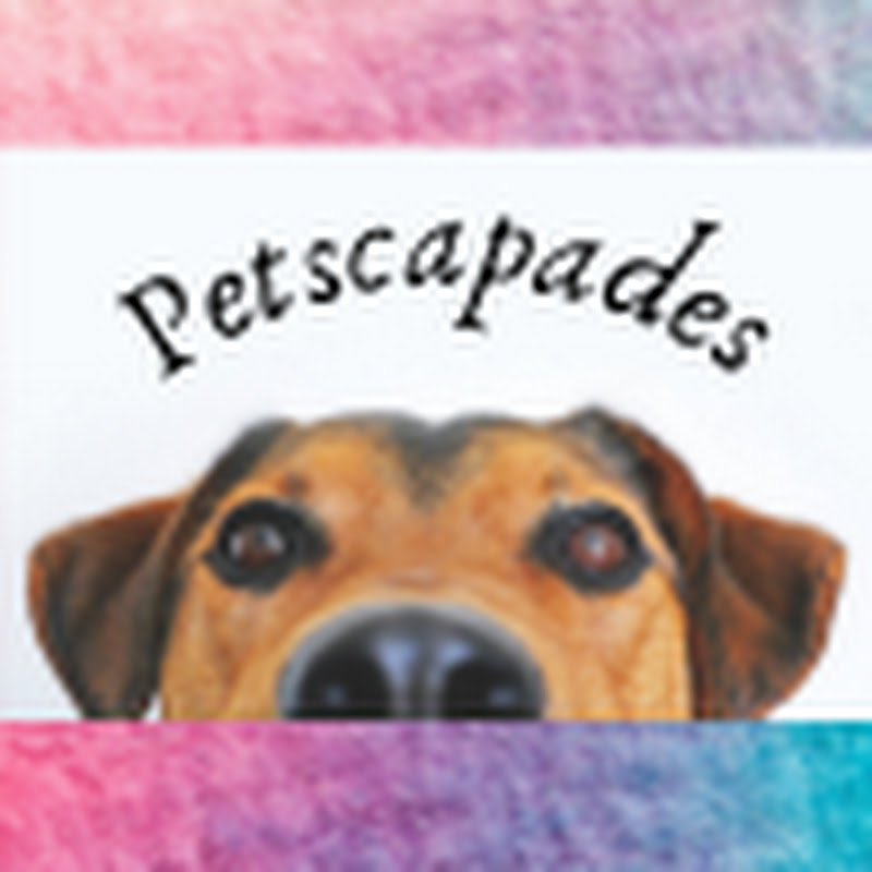 Petscapades