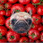 Saucy Tomato Dog‎ ‎ 77B views‎ ‎ 3 seconds ago