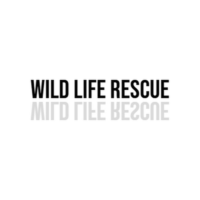 Wild Life Rescue