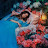 @sweetdreamstatus-h1o