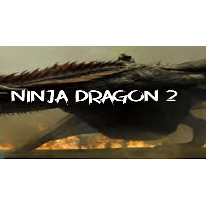 Ninja Dragon 2 YT