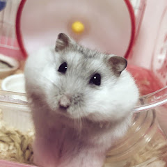 ぷちん29