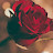 @Ozoda0893