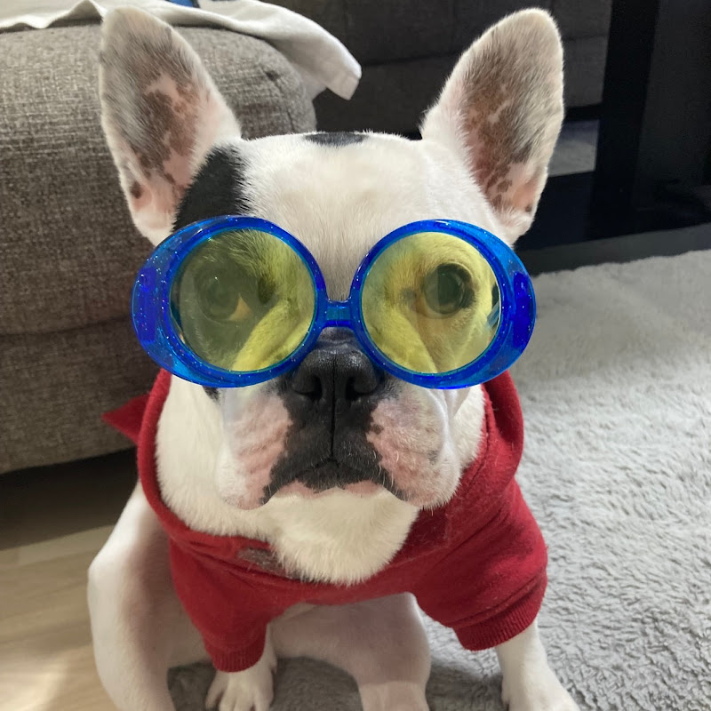 ひいらぎ　かえで