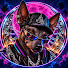 zJoA5AkX-Yk-channel-avatar-Pulso Xolo