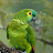 @Guilherme-xy9sw's avatar
