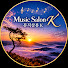 Sv_ayeImPLM-channel-avatar-musicsalonk