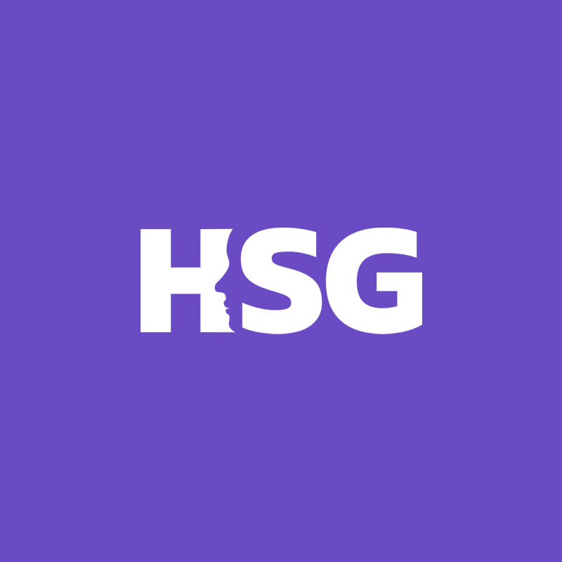 HSG 휴먼솔루션그룹
