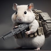 HAMSTAR Airsoft