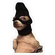 CR207