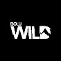 Bolu Wild