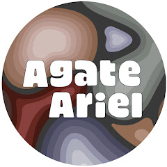Agate Ariel net worth