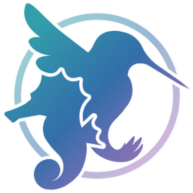 The Seahorse & The Hummingbird