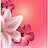 @HibaFetoui-u2s7z
