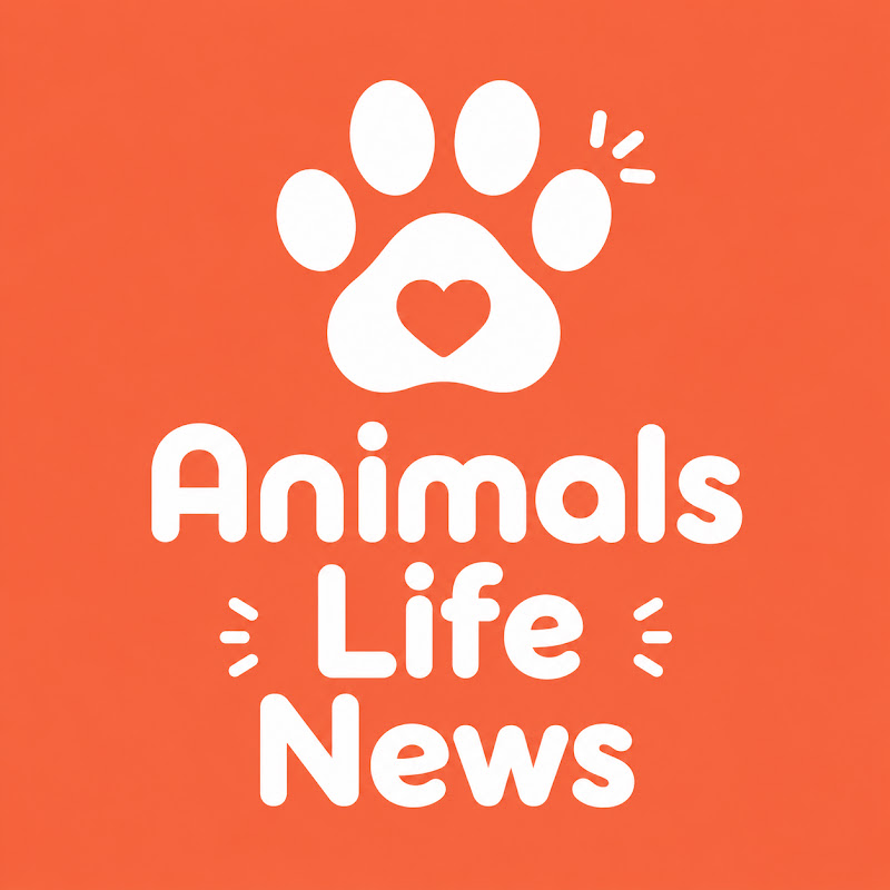 Animals Life News