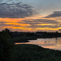 Cảm Nhận Cuộc Sống