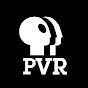PUBLIC VINYL RADIO logo