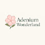 Adenium Wonder Land logo
