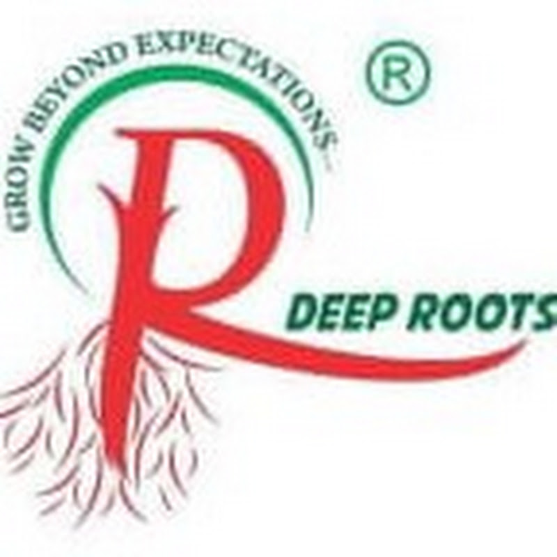 DEEP ROOTS Preschool