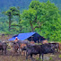 RbWFE-VX_P0-channel-avatar-Poor village Life