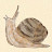 @Sticky_Mango69 avatar