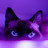 @purple_cat4996