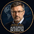 O8FmyS2R0Go-channel-avatar-Профессор Андрей Волков