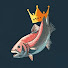 e-o1eG1C_bU-channel-avatar-King Salmon
