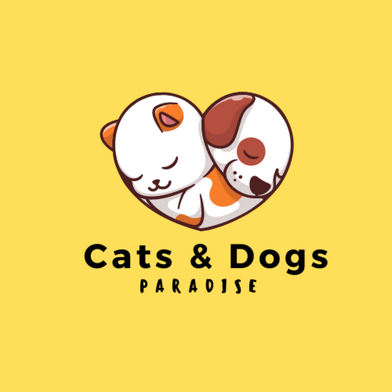Cats & Dogs Paradise