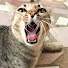 j0MqNQbvTEw-channel-avatar-คุณ เกมส์
