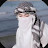 @ايهاحمد-ك3غ1ز