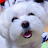 @행복칭구-n1g