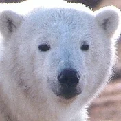 じゃむやまパチンコch