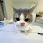 @들고양이-134