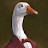 @dodgygoose3054