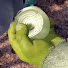 wlBjv1QrKTw-channel-avatar-Movies Have Layers