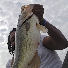 Rod fishing