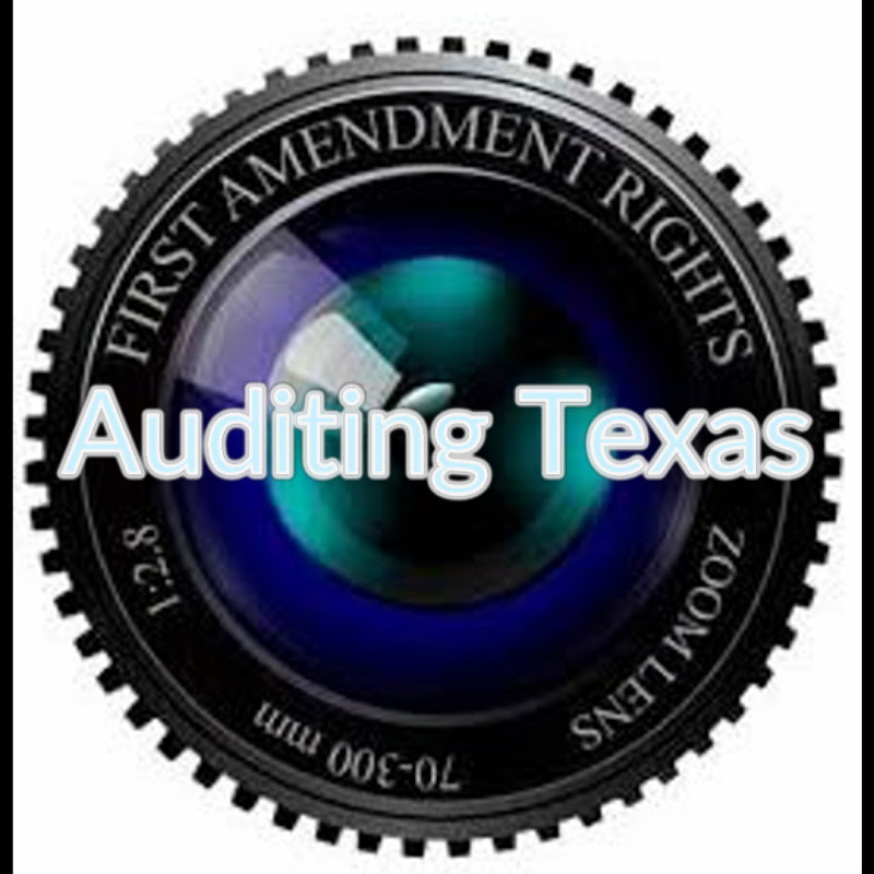 Auditing Texas