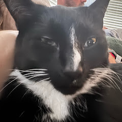 𝐦𝐮𝐫𝐝𝐞𝐫𝐦𝐢𝐭𝐭𝐞𝐧𝐬