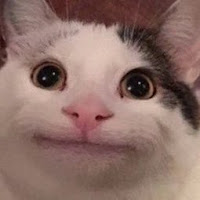 Beluga profile image