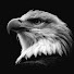 0f20qnCMVIk-channel-avatar-Fokus & Erfolg
