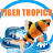 Tiger tropics
