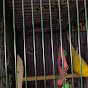 Charly the parakeet logo