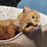 VCFcyZbDT1U-channel-avatar-Sweet2Swee