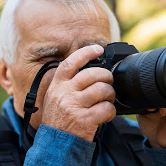 Japanese Omatsuri / チア撮影の人 / カメラじじいアイコン画像