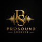 ProSound Archive | No Copyright Music Avatar